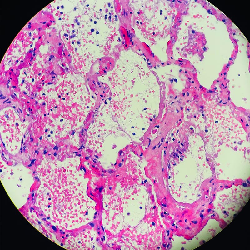 Microscopic Review